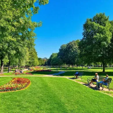 Taman